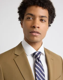 Brown Regular Tie with Stripes