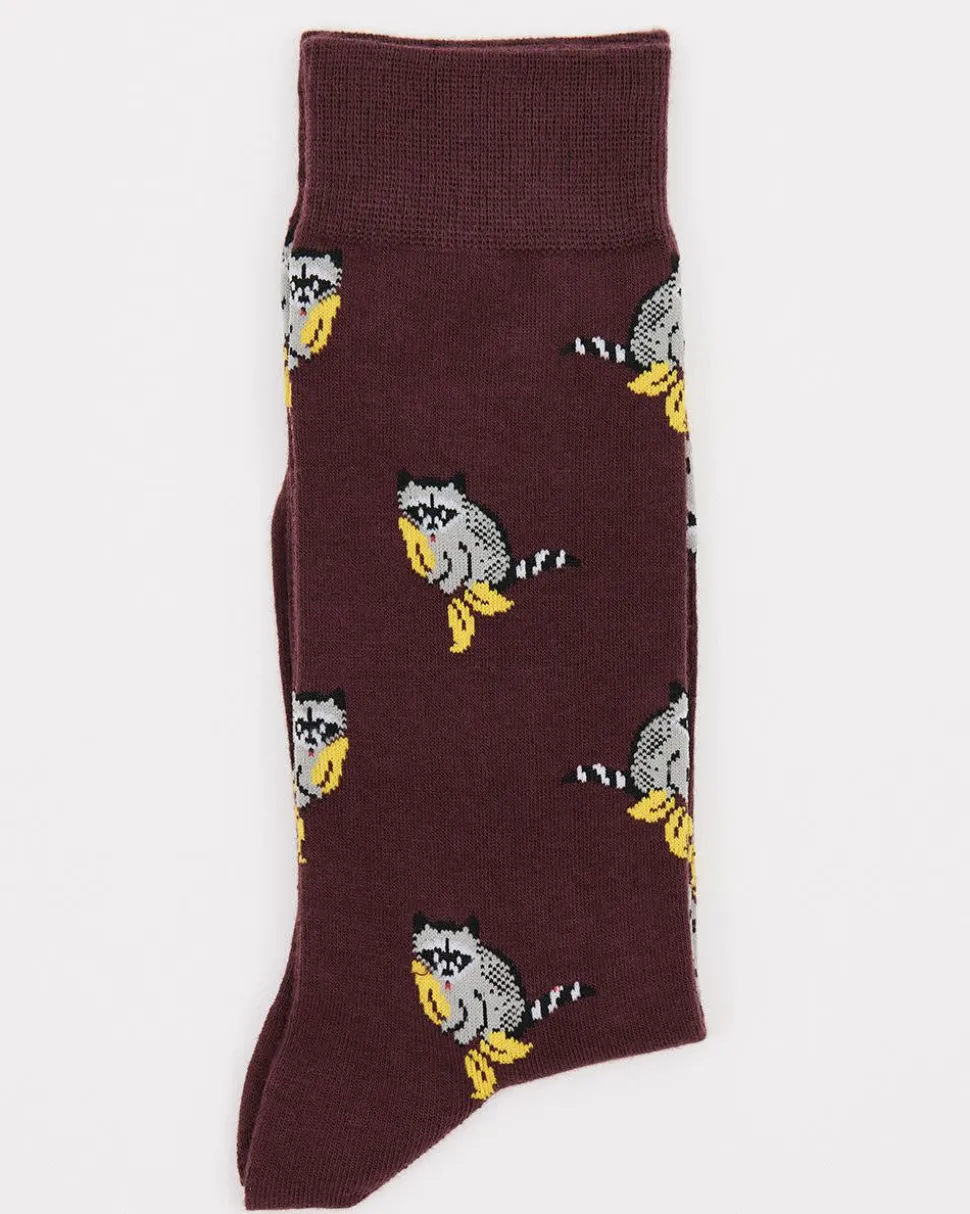 Raccoon Socks