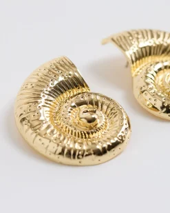 Shell Earrings