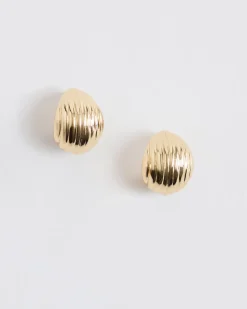 Shell Earrings