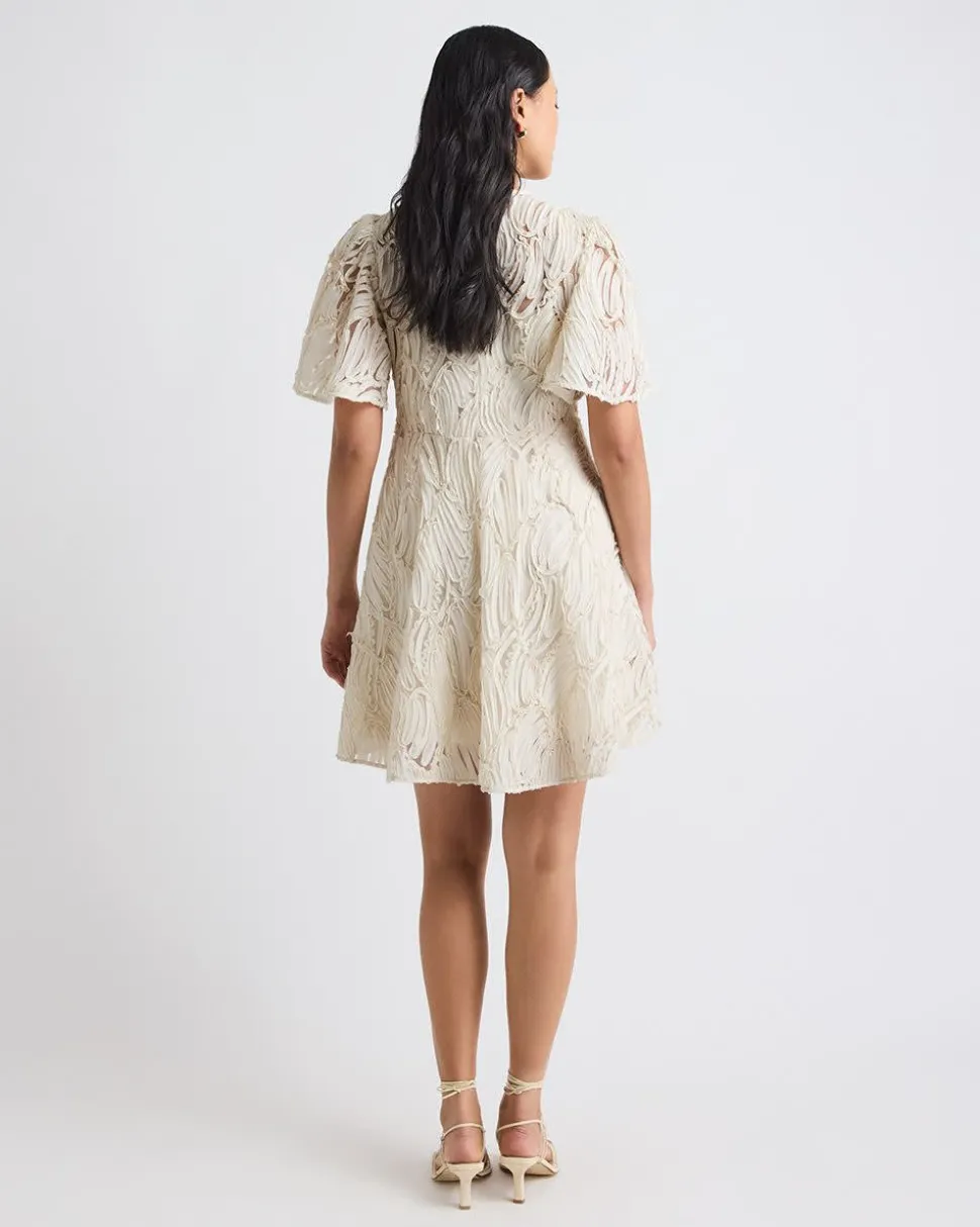 Short-Flutter-Sleeve Fit and Flare Novelty Dress