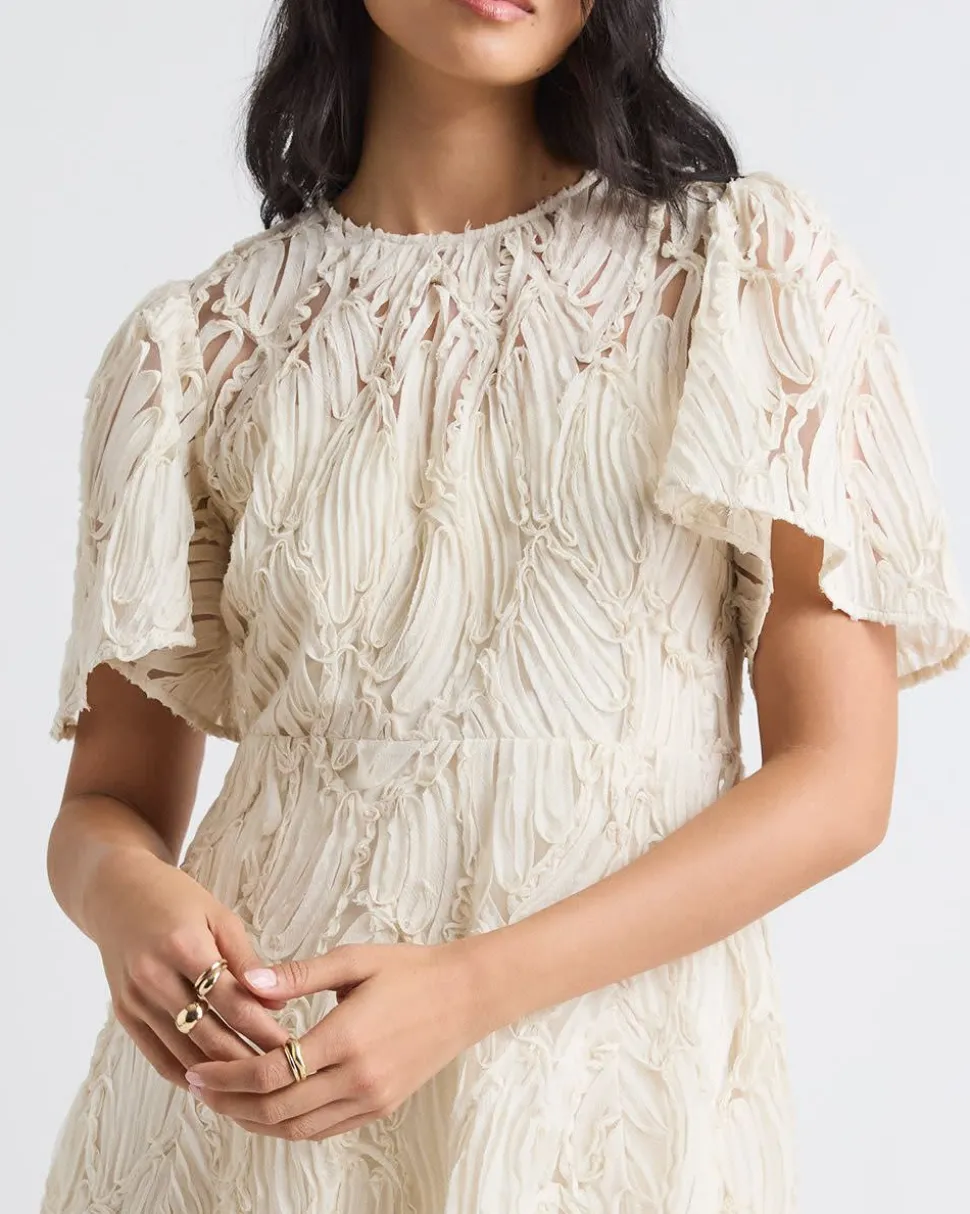 Short-Flutter-Sleeve Fit and Flare Novelty Dress