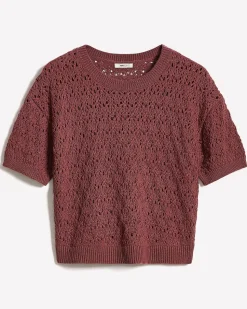 Short-Sleeve Crew-Neck Boxy Sweater in Fancy Stitches