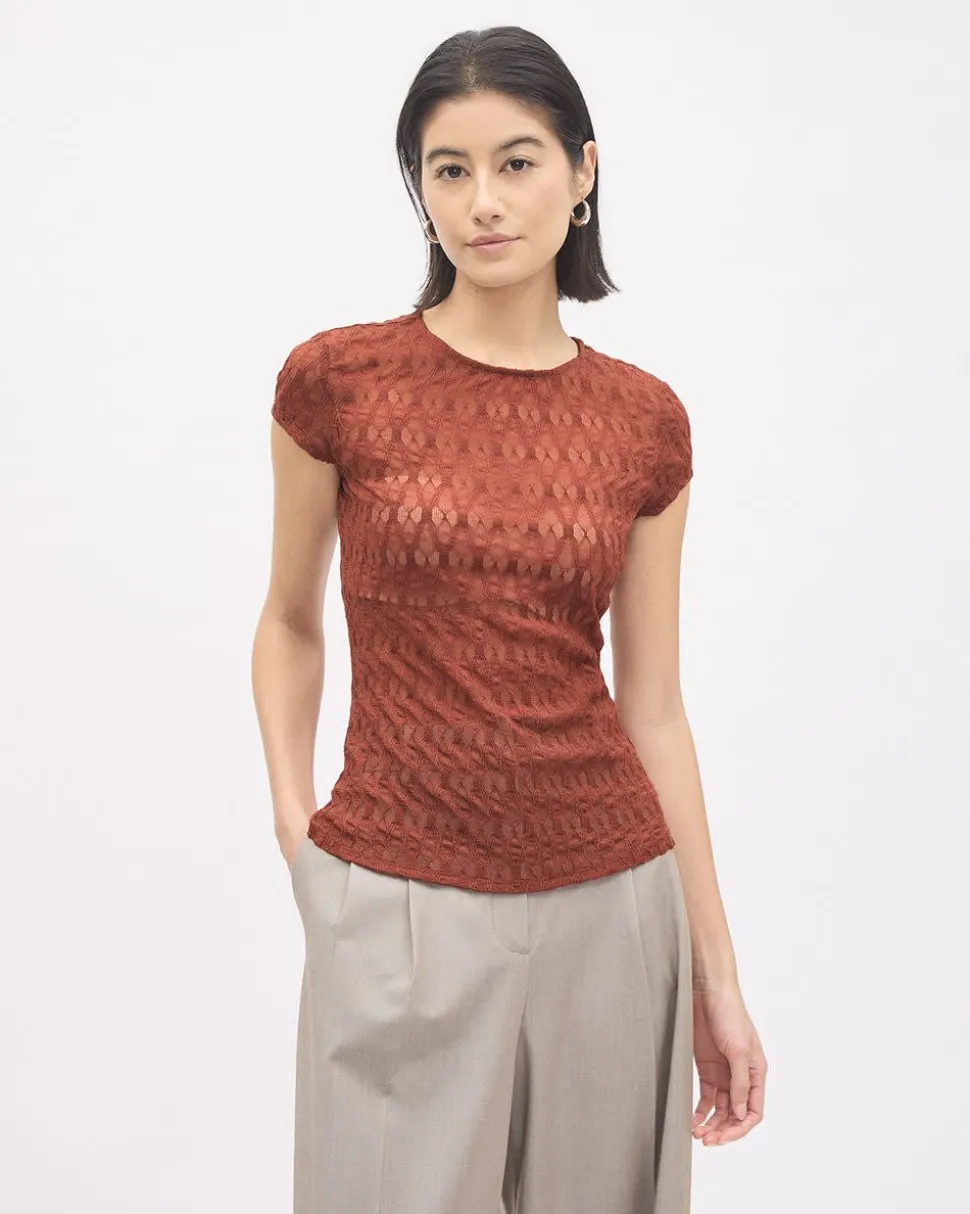 Short-Sleeve Crew-Neck Lace Top