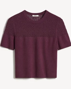 Short-Sleeve Crew-Neck Short Sweater