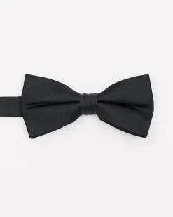 Solid Iridescent Bow Tie